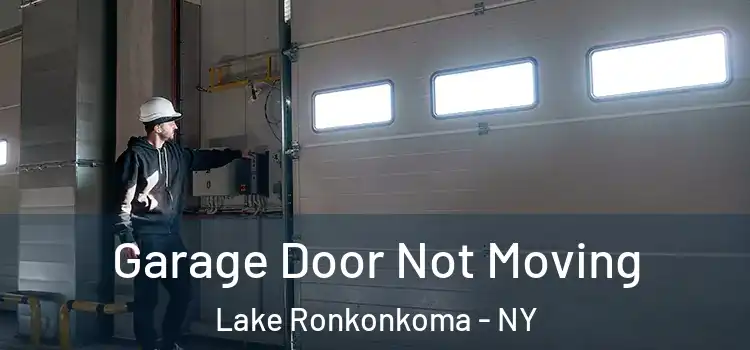  Garage Door Not Moving Lake Ronkonkoma - NY