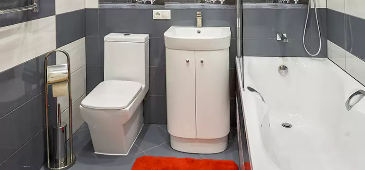 Hansgrohe Shaving Mirror Lake Ronkonkoma